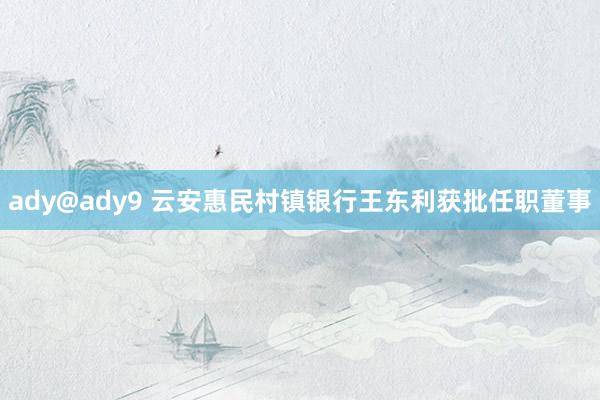 ady@ady9 云安惠民村镇银行王东利获批任职董事