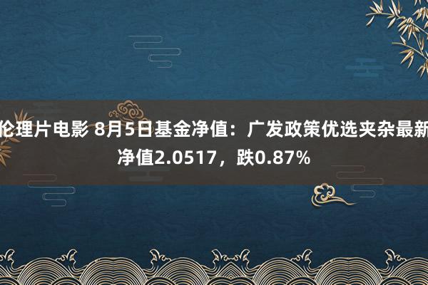 伦理片电影 8月5日基金净值：广发政策优选夹杂最新净值2.0517，跌0.87%