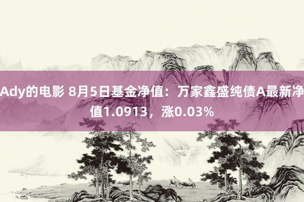 Ady的电影 8月5日基金净值：万家鑫盛纯债A最新净值1.0913，涨0.03%