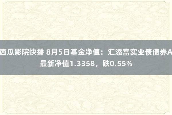 西瓜影院快播 8月5日基金净值：汇添富实业债债券A最新净值1.3358，跌0.55%