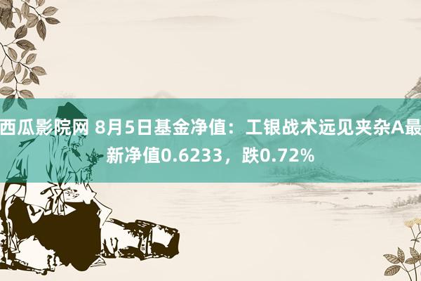 西瓜影院网 8月5日基金净值：工银战术远见夹杂A最新净值0.6233，跌0.72%