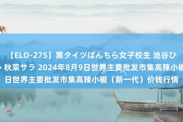 【ELO-275】黒タイツぱんちら女子校生 池谷ひかる さくら 宮下まい 秋菜サラ 2024年8月9日世界主要批发市集高辣小椒（新一代）价钱行情