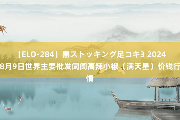 【ELO-284】黒ストッキング足コキ3 2024年8月9日世界主要批发阛阓高辣小椒（满天星）价钱行情