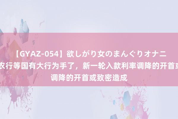 【GYAZ-054】欲しがり女のまんぐりオナニー 工行和农行等国有大行为手了，新一轮入款利率调降的开首或致密造成