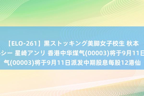 【ELO-261】黒ストッキング美脚女子校生 秋本レオナ さくら チェルシー 星崎アンリ 香港中华煤气(00003)将于9月11日派发中期股息每股12港仙