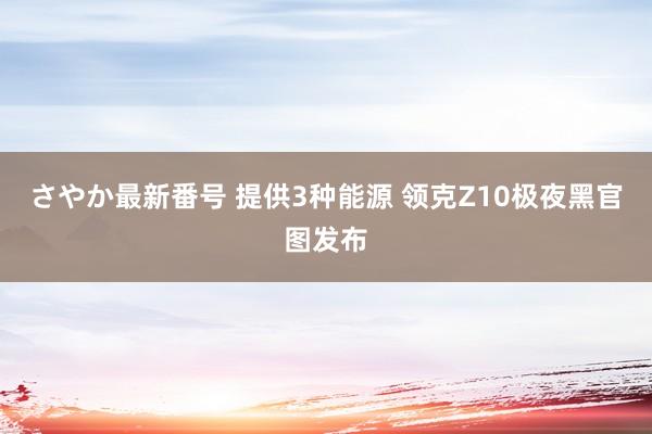 さやか最新番号 提供3种能源 领克Z10极夜黑官图发布