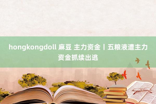 hongkongdoll 麻豆 主力资金丨五粮液遭主力资金抓续出逃