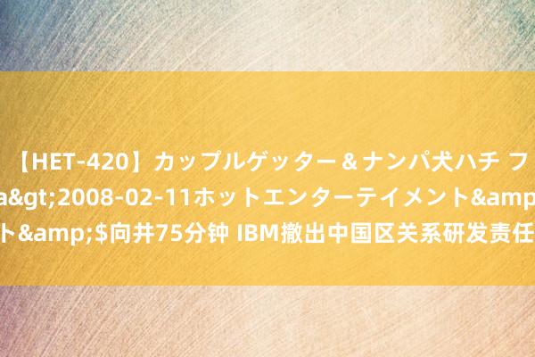 【HET-420】カップルゲッター＆ナンパ犬ハチ ファイト一発</a>2008-02-11ホットエンターテイメント&$向井75分钟 IBM撤出中国区关系研发责任 裁人边界超千东说念主