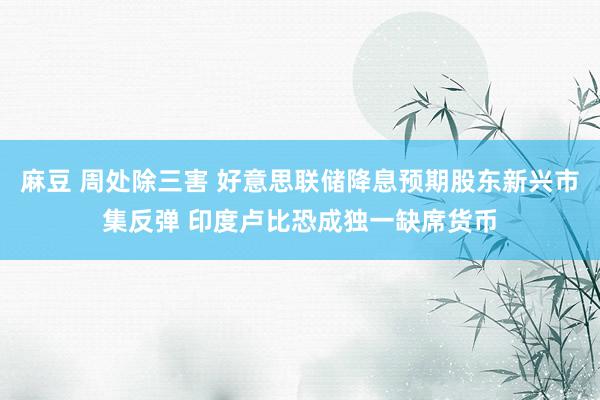 麻豆 周处除三害 好意思联储降息预期股东新兴市集反弹 印度卢比恐成独一缺席货币