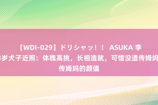 【WDI-029】ドリシャッ！！ ASUKA 李嘉欣13岁犬子近照：体魄高挑，长相造就，可惜没遗传姆妈的颜值