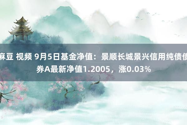 麻豆 视频 9月5日基金净值：景顺长城景兴信用纯债债券A最新净值1.2005，涨0.03%