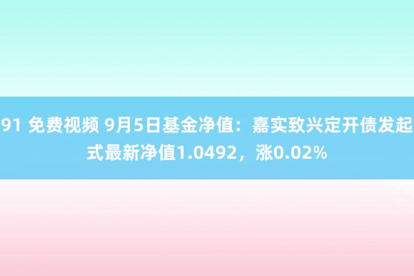 91 免费视频 9月5日基金净值：嘉实致兴定开债发起式最新净值1.0492，涨0.02%