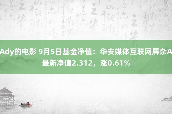 Ady的电影 9月5日基金净值：华安媒体互联网羼杂A最新净值2.312，涨0.61%