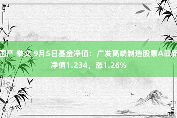 国产 拳交 9月5日基金净值：广发高端制造股票A最新净值1.234，涨1.26%