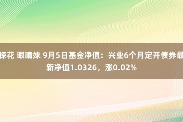 探花 眼睛妹 9月5日基金净值：兴业6个月定开债券最新净值1.0326，涨0.02%