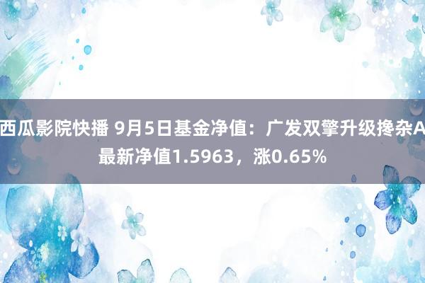 西瓜影院快播 9月5日基金净值：广发双擎升级搀杂A最新净值1.5963，涨0.65%