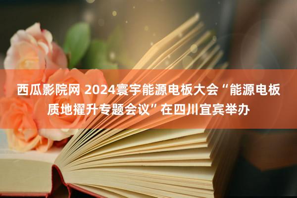 西瓜影院网 2024寰宇能源电板大会“能源电板质地擢升专题会议”在四川宜宾举办