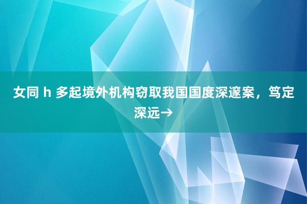 女同 h 多起境外机构窃取我国国度深邃案，笃定深远→