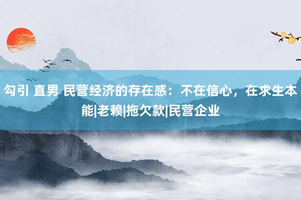 勾引 直男 民营经济的存在感：不在信心，在求生本能|老赖|拖欠款|民营企业